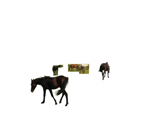 Creation of Spring Graze: Step 2
